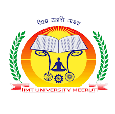 I I  M T University